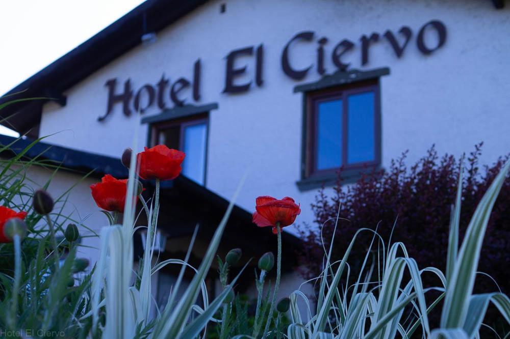 Hotel El Ciervo Villarrica Exterior photo