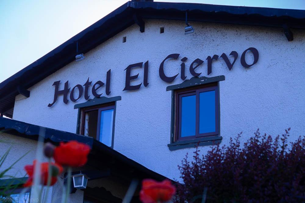 Hotel El Ciervo Villarrica Exterior photo